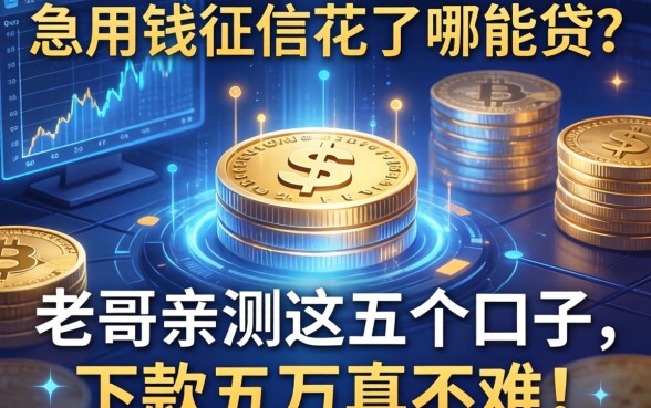急用钱征信花了哪能贷？老哥亲测这五个口子，下款五万真不难！