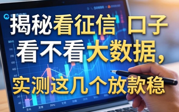 揭秘看征信的口子看不看大数据，实测这几个放款稳