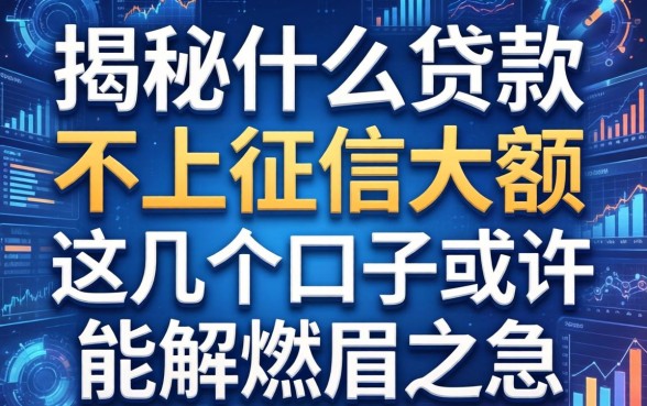 揭秘什么贷款不上征信大额，这几个口子或许能解燃眉之急