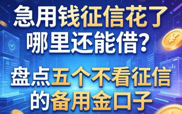急用钱征信花了哪里还能借？盘点五个不看征信的备用金口子