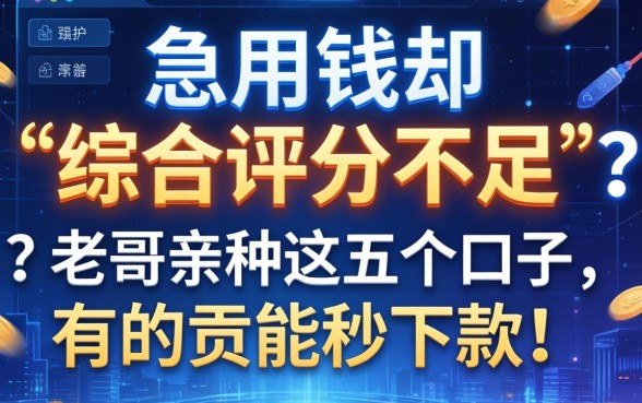 急用钱却显示“综合评分不足”？老哥亲测这五个口子，有的竟能秒下款！