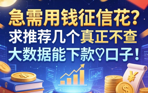 急需用钱征信花？求推荐几个真正不查大数据能下款的口子！