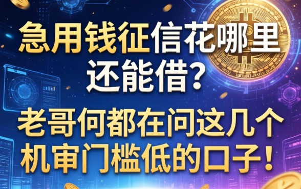 急用钱征信花哪里还能借？老哥们都在问这几个机审门槛低的口子！