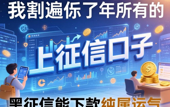 我翻遍了2026年所有的上征信口子，发现黑征信能下款纯属运气