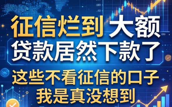 征信烂到大额贷款居然下款了，这些不看征信的口子我是真没想到