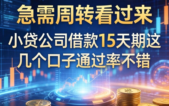急需周转看过来：小贷公司借款15天期这几个口子通过率不错