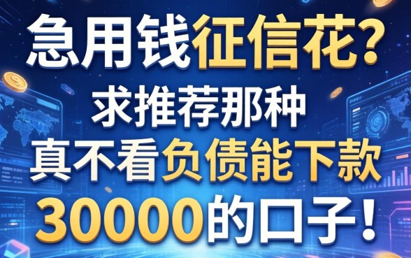 急用钱征信花？求推荐那种真不看负债能下款30000的口子！