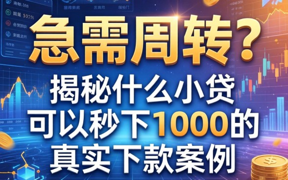 急需周转？揭秘什么小贷可以秒下1000的真实下款案例