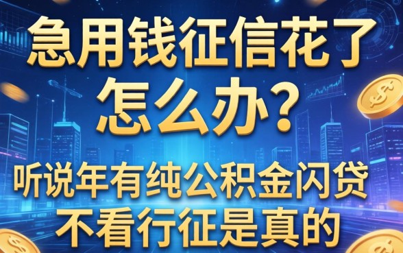 急用钱征信花了怎么办？听说2026年有纯公积金网贷不看征信是真的吗？