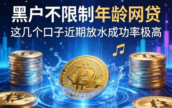 黑户不限制年龄的网贷：这几个口子近期放水成功率极高