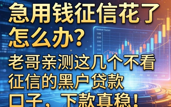 急用钱征信花了怎么办？老哥亲测这几个不看征信的黑户贷款口子，下款真稳！