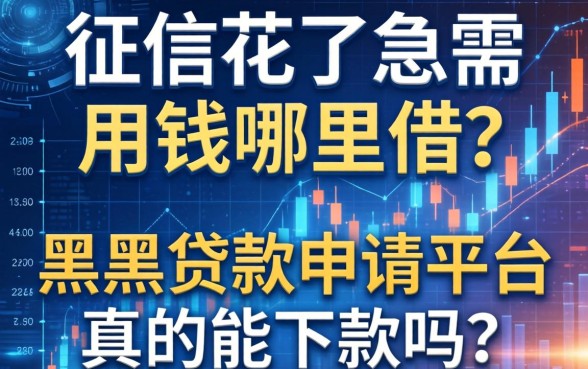 征信花了急需用钱哪里借？黑户贷款申请平台真的能下款吗？