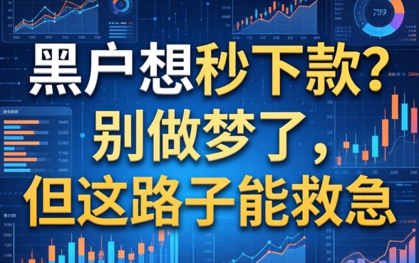 黑户想秒下款？别做梦了，但这路子能救急