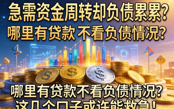 急需资金周转却负债累累？哪里有贷款不看负债情况？这几个口子或许能救急！