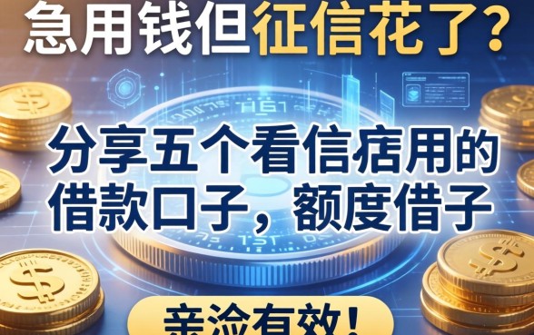 急用钱但征信花了？分享五个不看信用额度的借款口子，亲测有效！
