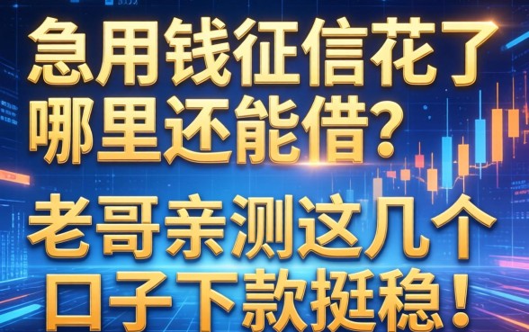 急用钱征信花了哪里还能借？老哥亲测这几个口子下款挺稳！