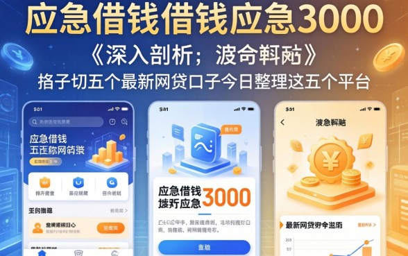 应急借钱借钱应急3000，深入剖析五个最新网贷口子今日整理这五个平台