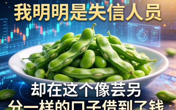 我明明是失信人员，却在这个像芸豆分一样的口子借到了钱