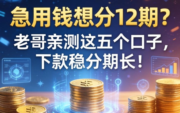 急用钱想分12期？老哥亲测这五个口子，下款稳分期长！