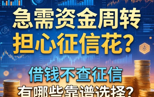 急需资金周转却担心征信花？2026借钱不查征信的有哪些靠谱选择？