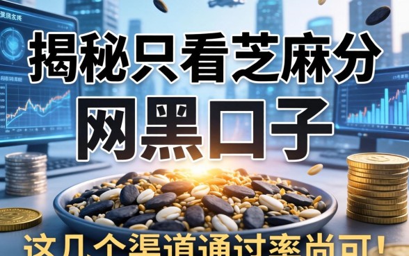 揭秘只看芝麻分的网黑口子，这几个渠道通过率尚可