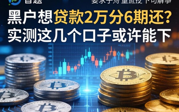 黑户想贷款2万分6期还？实测这几个口子或许能下