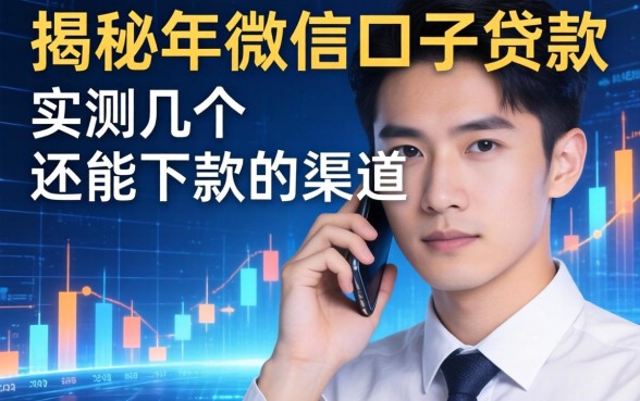 揭秘2026年微信口子贷款：实测几个还能下款的渠道