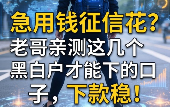 急用钱征信花？老哥亲测这几个黑白户都能下的口子，下款稳！
