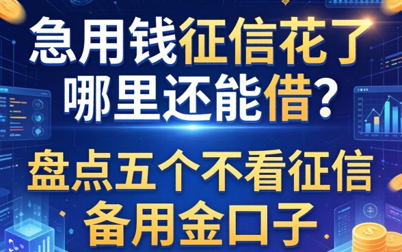 急用钱征信花了哪里还能借？盘点五个不看征信的备用金口子