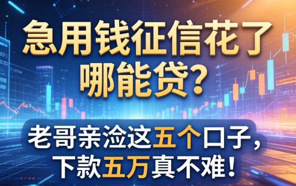 急用钱征信花了哪能贷？老哥亲测这五个口子，下款五万真不难！
