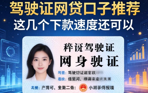 身份证驾驶证网贷口子推荐：这几个下款速度还可以