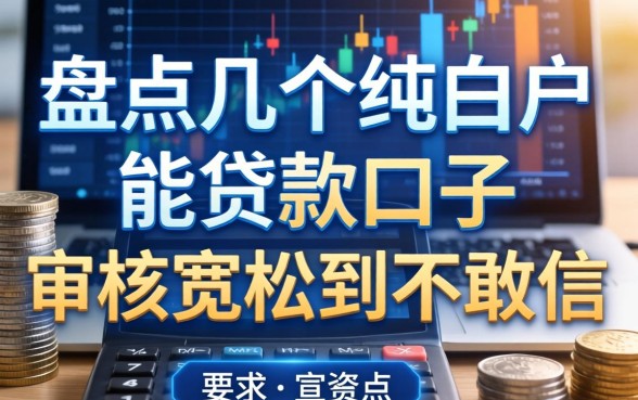盘点几个纯白户能贷款的口子，审核宽松到不敢信