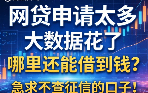 网贷申请太多大数据花了，哪里还能借到钱？急求不查征信的口子！