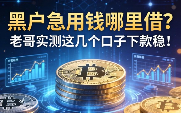 黑户急用钱哪里借？老哥实测这几个口子下款稳！