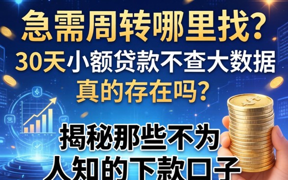 急需周转哪里找？30天小额贷款不查大数据真的存在吗？揭秘那些不为人知的下款口子