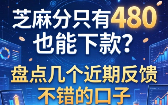 芝麻分只有480也能下款？盘点几个近期反馈不错的口子