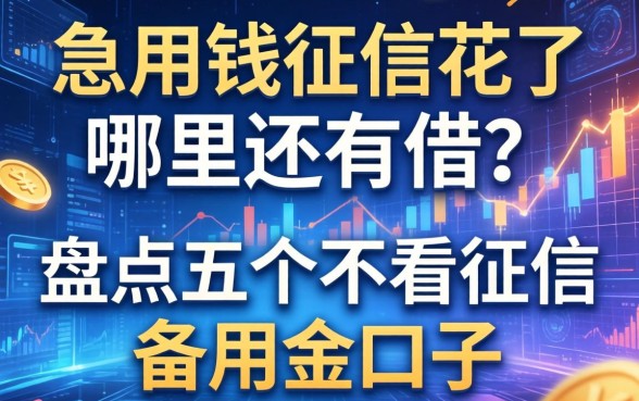 急用钱征信花了哪里还能借？盘点五个不看征信的备用金口子