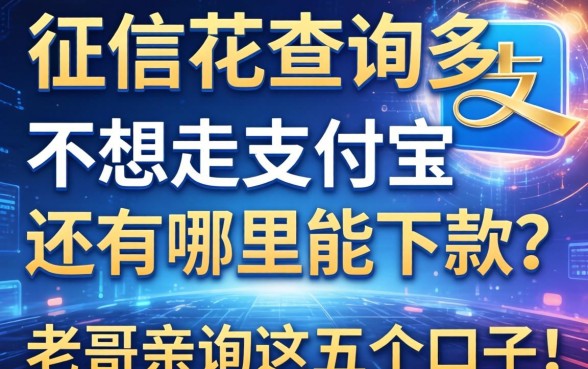 征信花查询多，不想走支付宝还有哪里能下款？老哥亲测这五个口子！