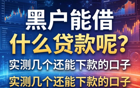 黑户能借什么贷款呢？实测几个还能下款的口子