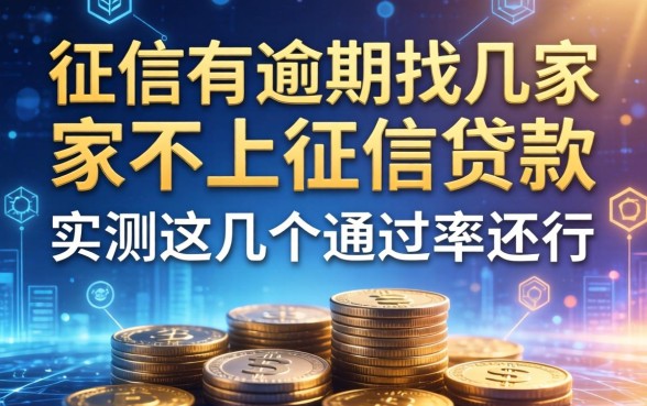 征信有逾期找几家不上征信贷款，实测这几个通过率还行