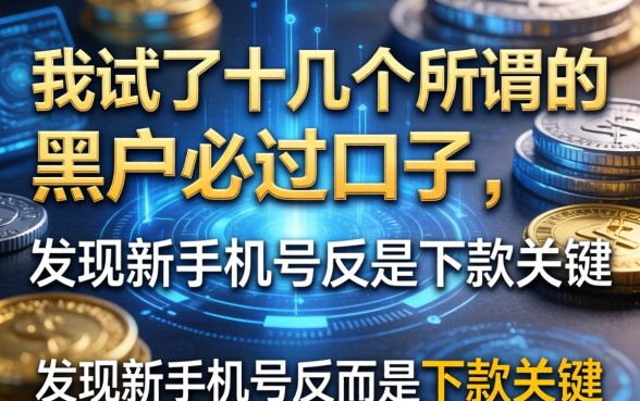 我试了十几个所谓的黑户必过口子，发现新手机号反而是下款关键