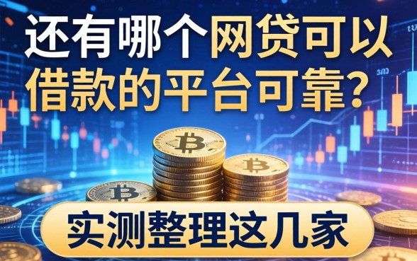 还有哪个网贷可以借款的平台可靠？实测整理这几家