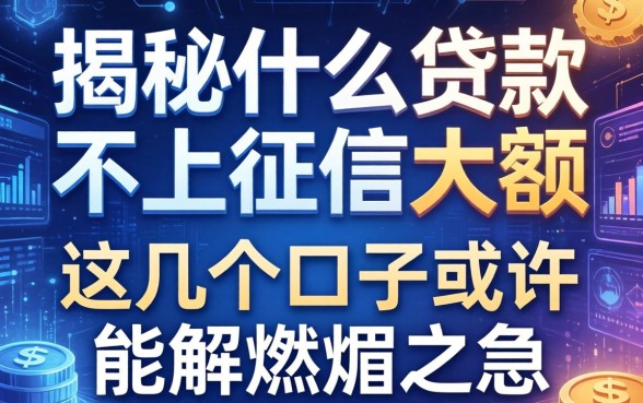揭秘什么贷款不上征信大额，这几个口子或许能解燃眉之急