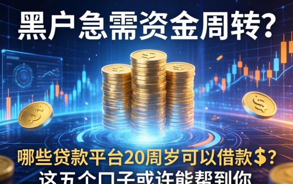 黑户急需资金周转？哪些贷款平台20周岁可以借款的？这五个口子或许能帮到你
