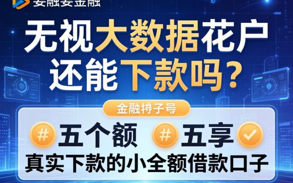 无视大数据花户还能下款吗？分享五个真实下款的小额借款口子