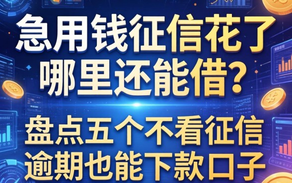 急用钱征信花了哪里还能借？盘点五个不看征信逾期也能下款的口子