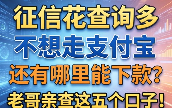 征信花查询多，不想走支付宝还有哪里能下款？老哥亲测这五个口子！