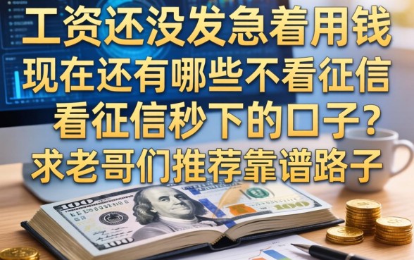 工资还没发急着用钱，现在还有哪些不看征信秒下的口子？求老哥们推荐靠谱路子！