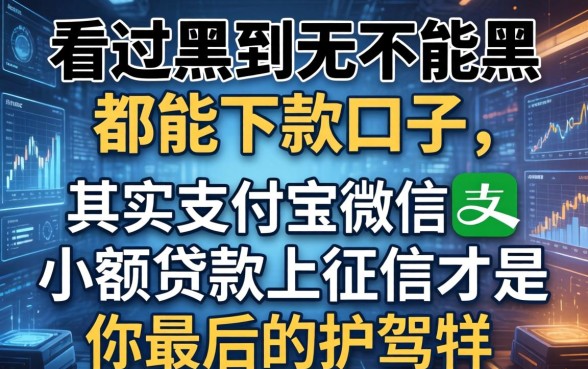 我看过黑到不能再黑都能下款的口子，其实支付宝微信小额贷款上征信才是你最后的护身符