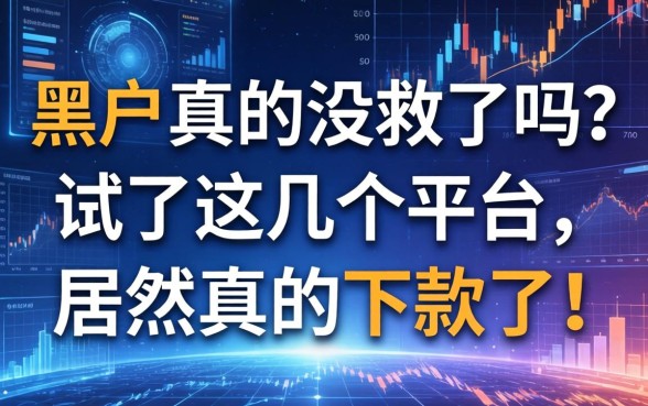 黑户真的没救了吗？试了这几个平台，居然真的下款了！